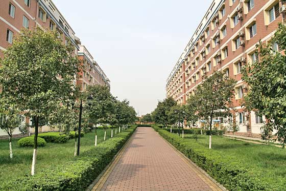 學生宿舍實景圖